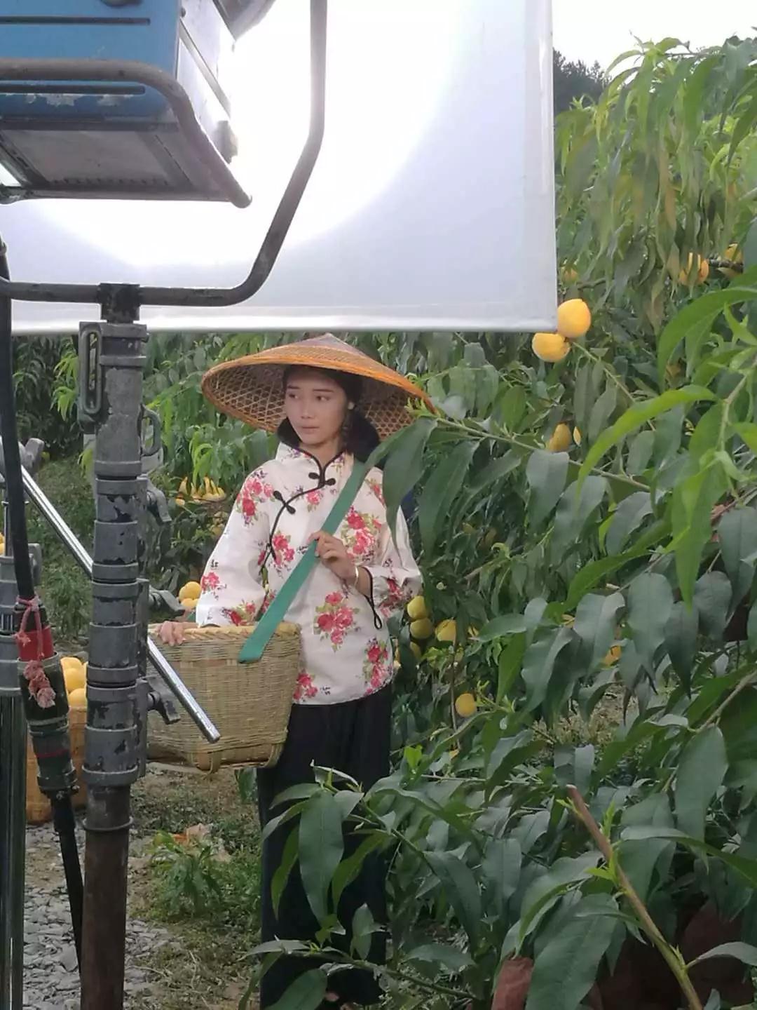 段玉婵