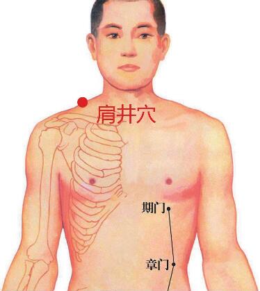  肩井穴(右侧肩关节部位)