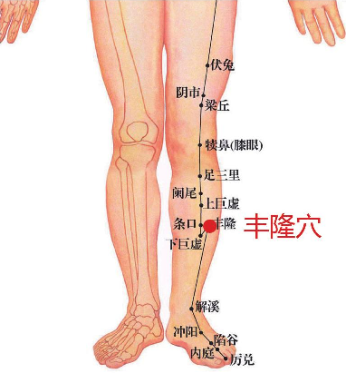 丰隆穴