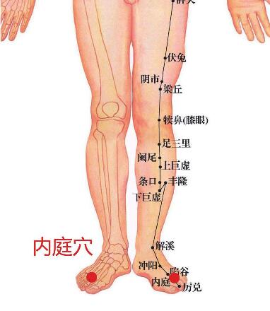 内庭穴
