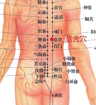 意舍穴