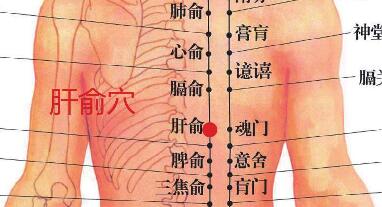 肝俞穴
