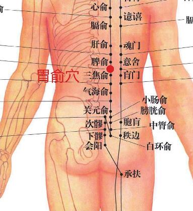 胃俞穴