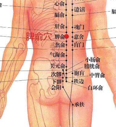脾俞穴