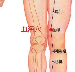血海穴