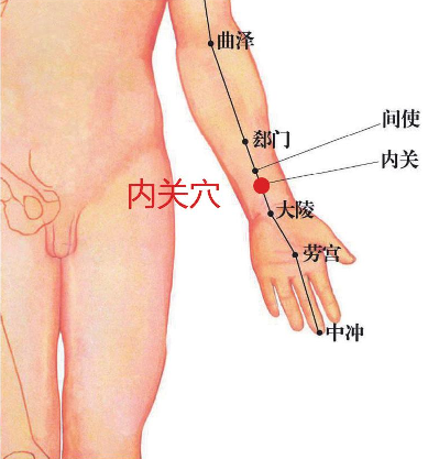 内关穴
