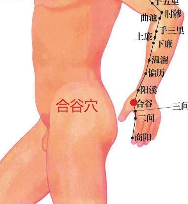 合谷穴