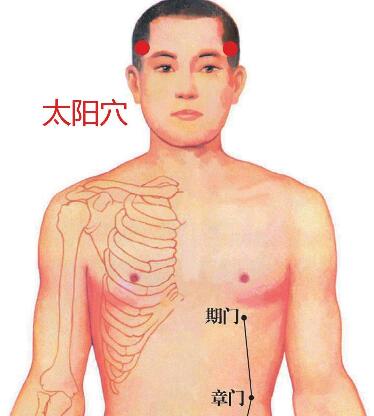 太阳穴
