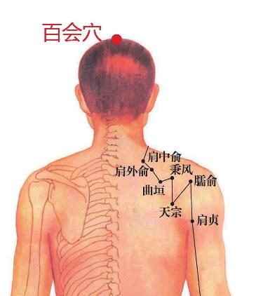 百会穴