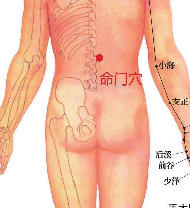 命门穴