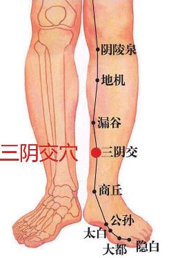 三阴交穴