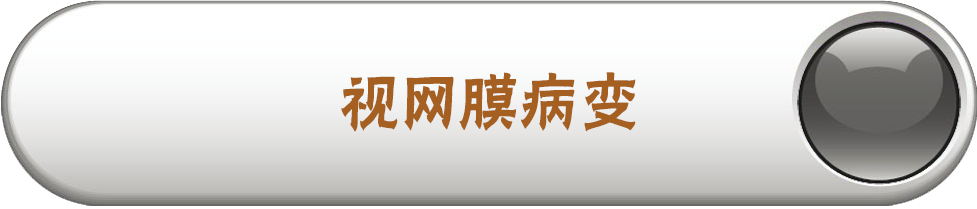 视网膜病变